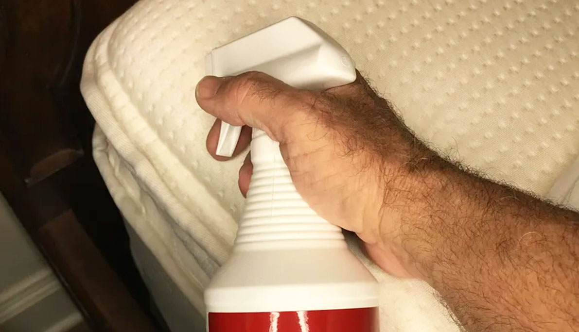 what you need to know about bed bug repellent spray