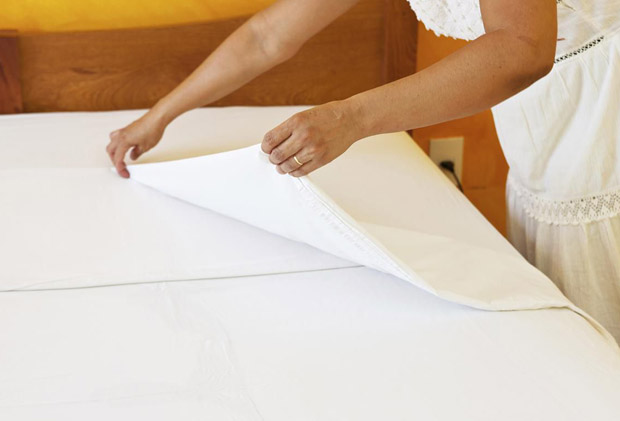 commercial bed bug treatment carlisle