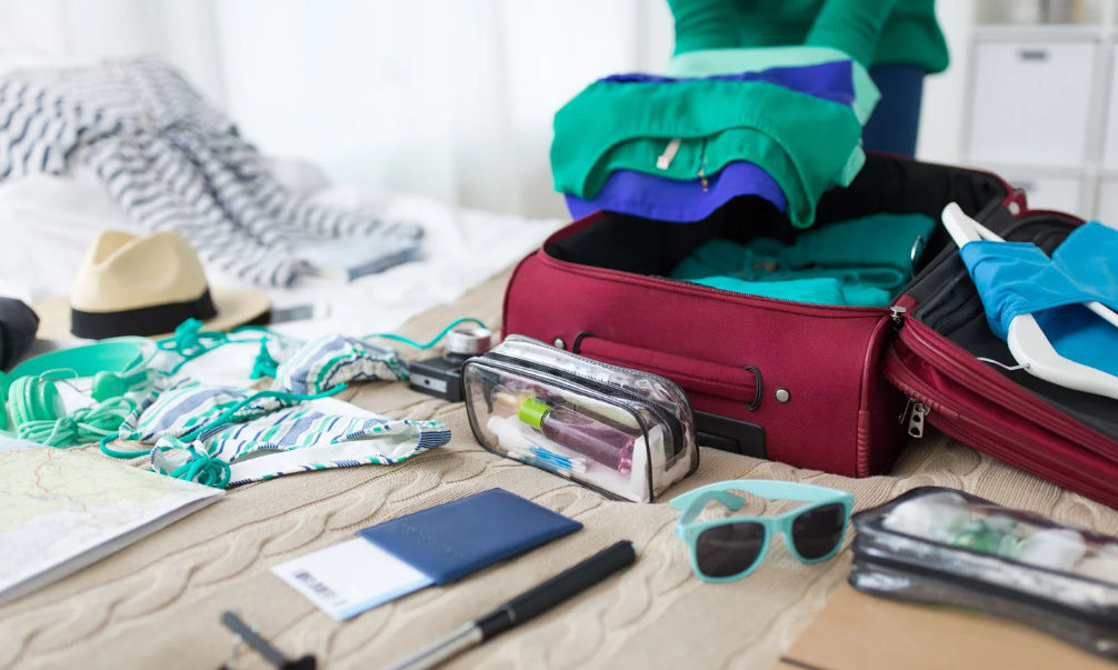 Travel Tips and Home Protection Advice to Prevent Bed Bugs