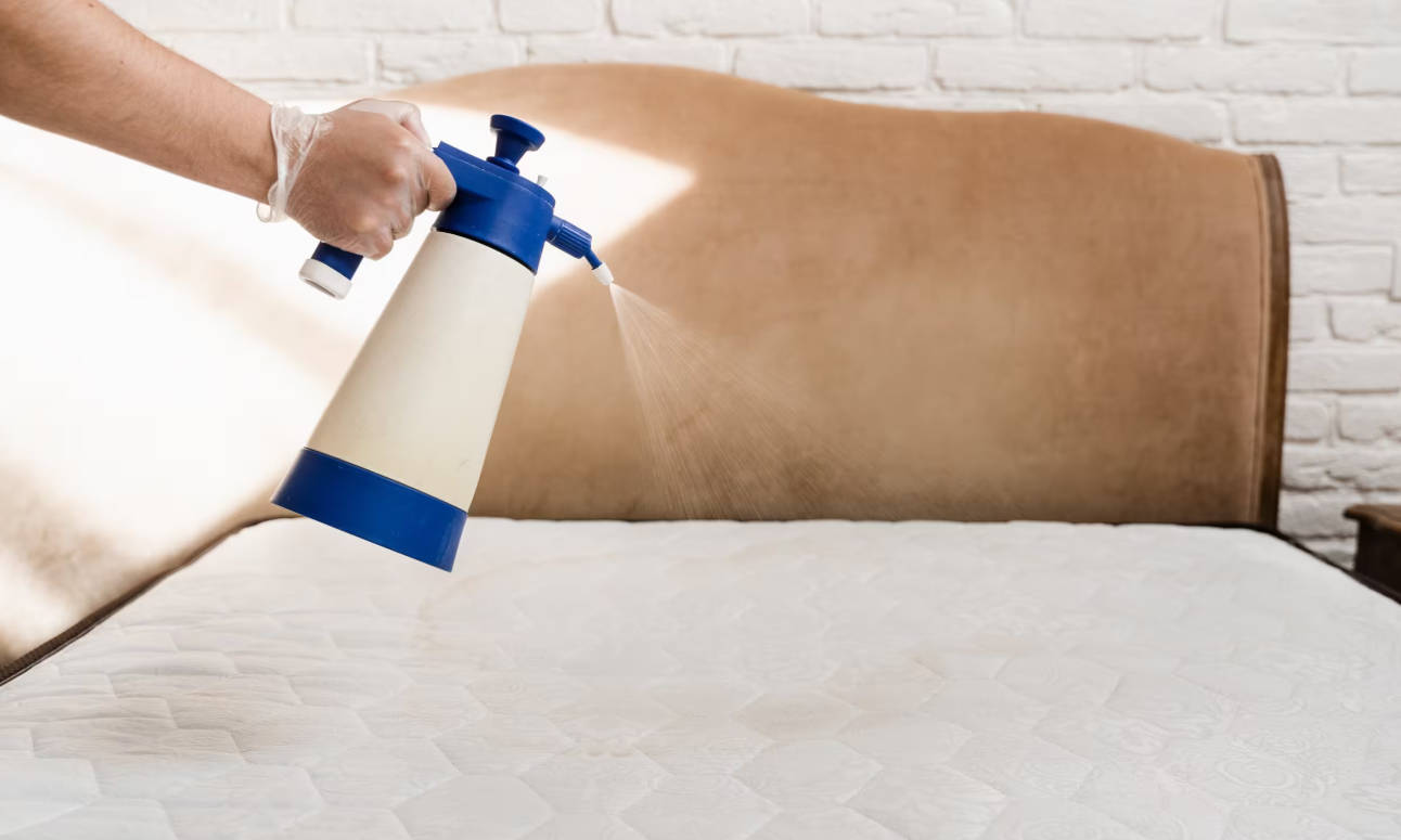 The Hidden Costs of a Bed Bug Infestation