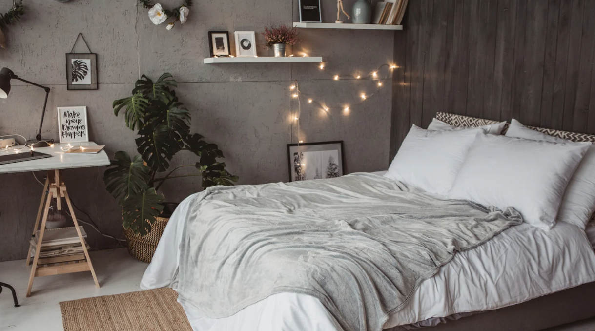 Can You Starve Out Bed Bugs by Leaving the Room Empty