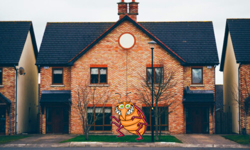 How to Protect Your Home After a Neighbour Gets Bed Bugs