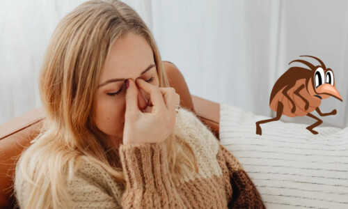 What Do Bed Bugs Smell Like Identifying Infestations by Odour