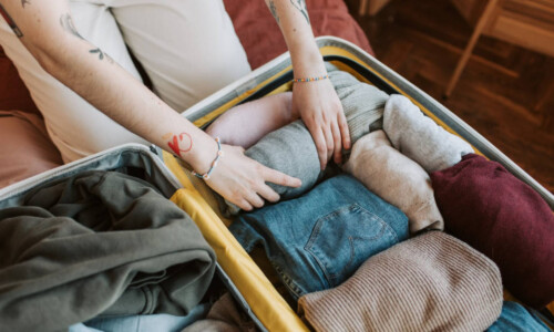 Can Bed Bugs Live in Luggage Long-Term