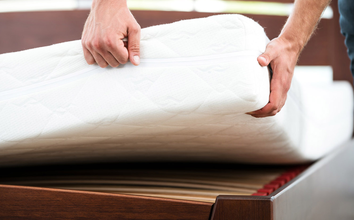 the bed bugs experts bed bug treatment bishop auckland